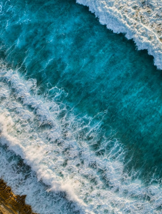 Phasellus acilisi class mattis tincid accumsan varius